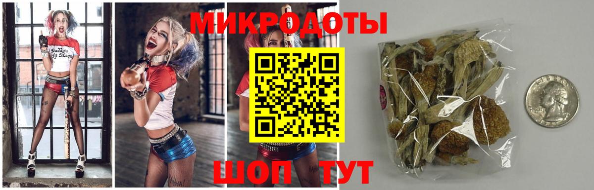 Октябрьский  купить наркотики сайты  Вход с VPN  Псилоцибиновые грибы мухоморы 