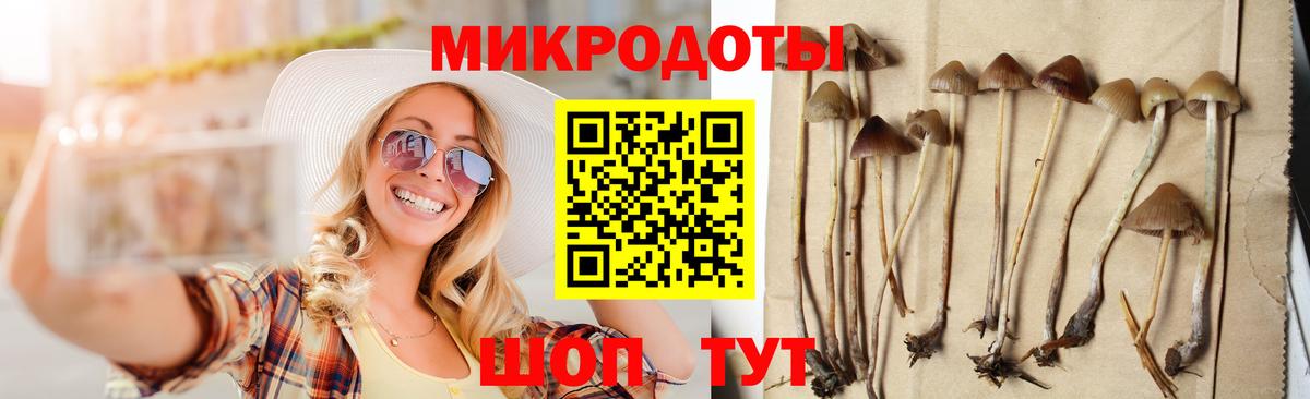 Галлюциногенные грибы Psilocybine cubensis Октябрьский